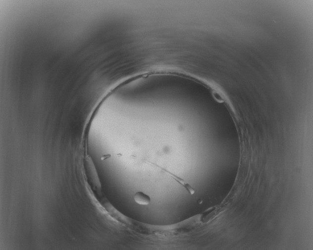 X0000061150911200511241827