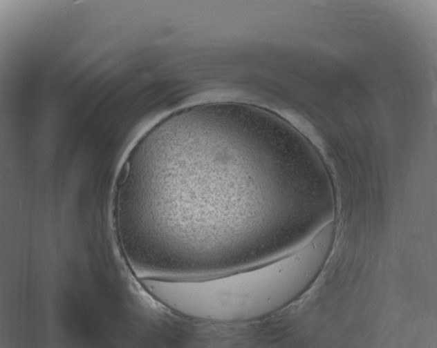 X0000061150912200511241827