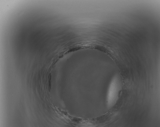 X0000061150913200511241826