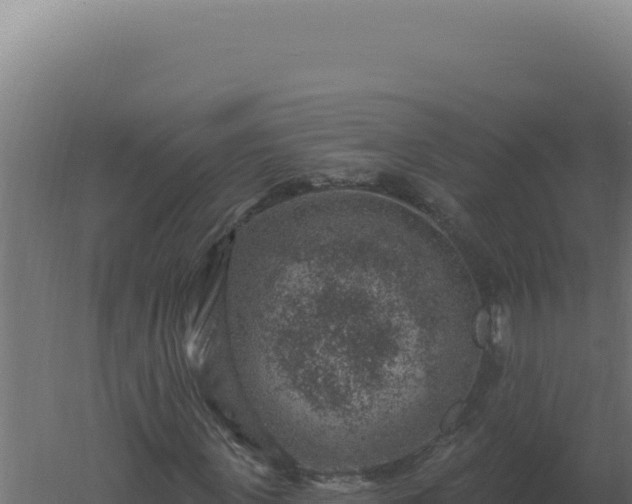 X0000061150915200511241827