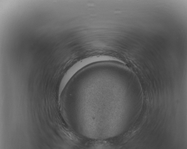 X0000061150916200511241827