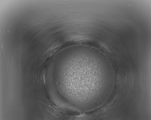 X0000061150917200511241827