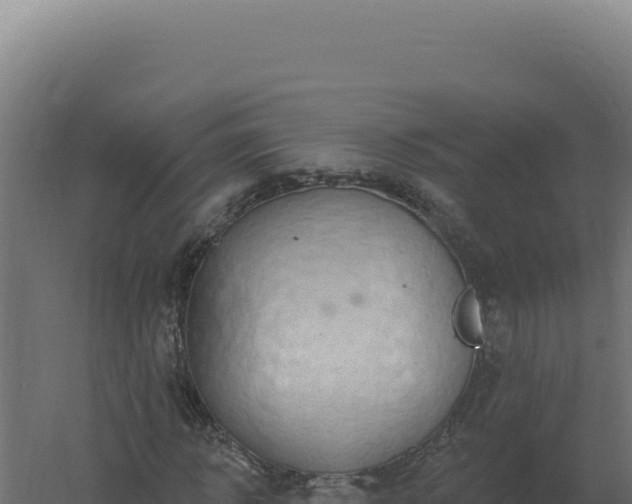 X0000061150918200511241827