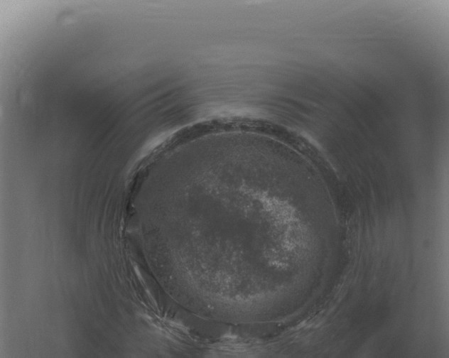 X0000061150919200511241827