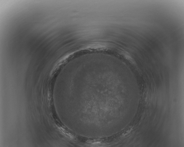 X0000061150920200511241827