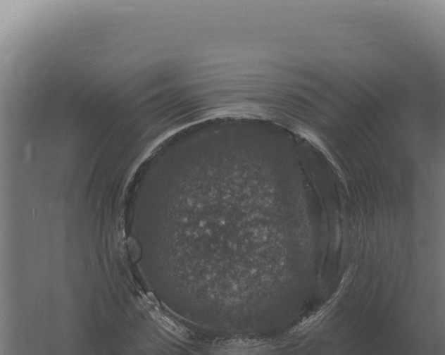 X0000061150923200511241827