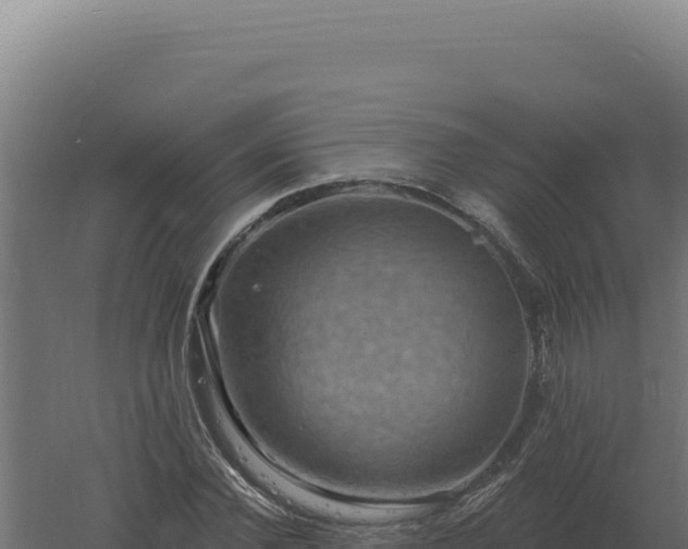 X0000061150924200511241827