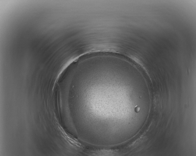 X0000061150925200511241827