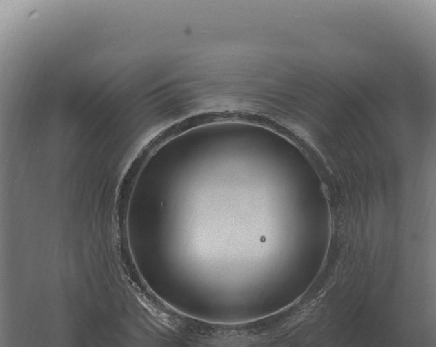 X0000061150927200511241827