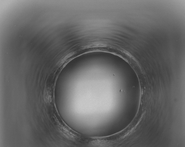 X0000061150929200511241827