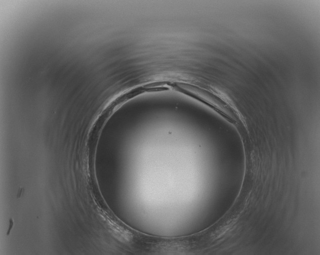 X0000061150931200511241827