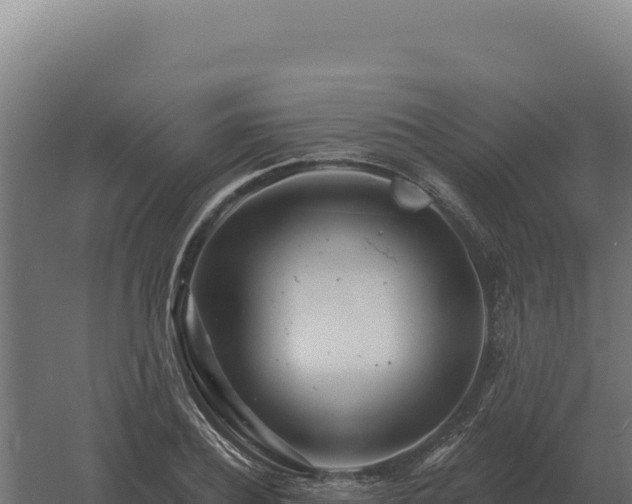 X0000061150932200511241827