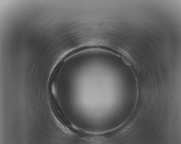 X0000061150934200511241827