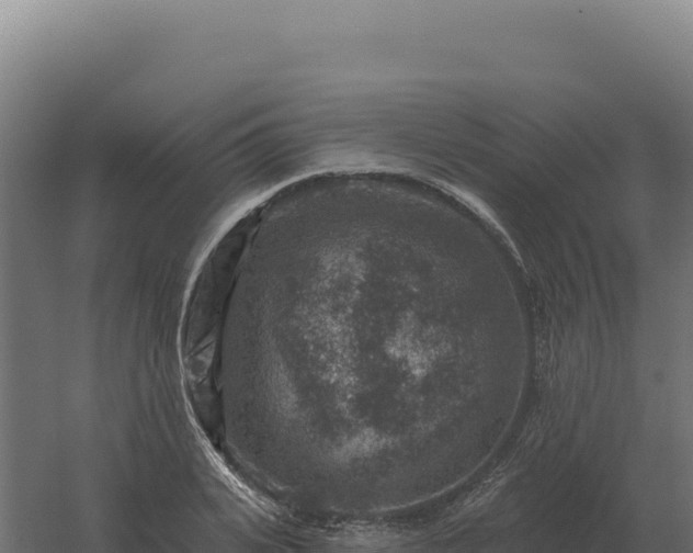 X0000061150935200511241827