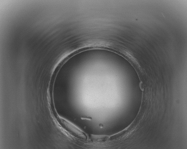 X0000061150936200511241827