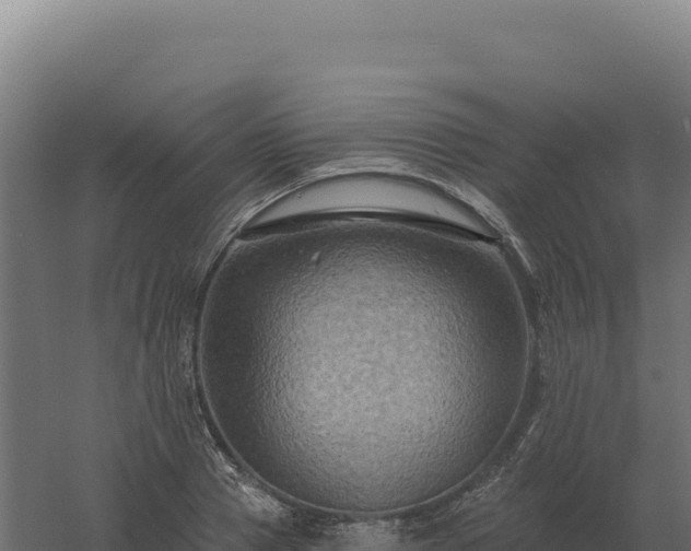 X0000061150937200511241827