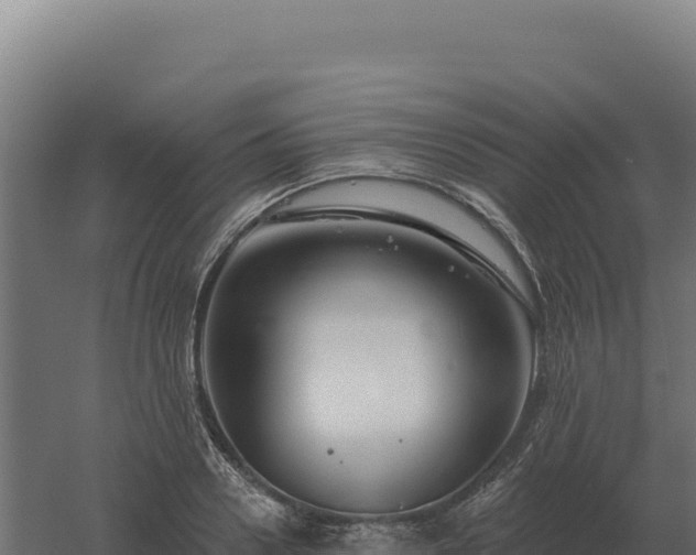 X0000061150938200511241827