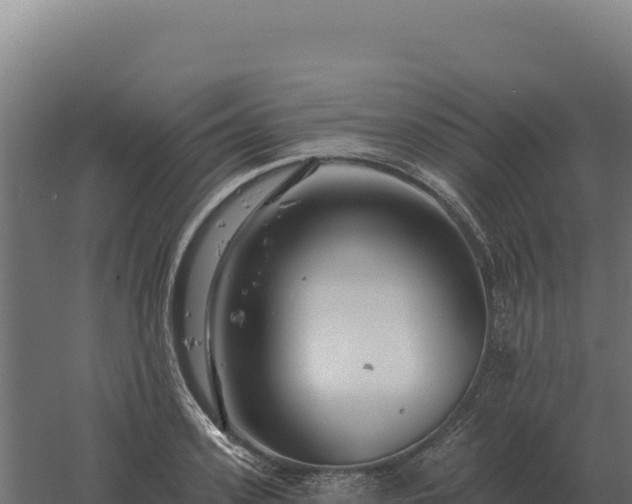 X0000061150939200511241827