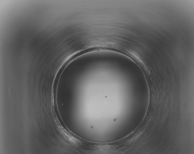 X0000061150940200511241827