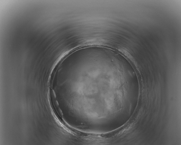 X0000061150941200511241827