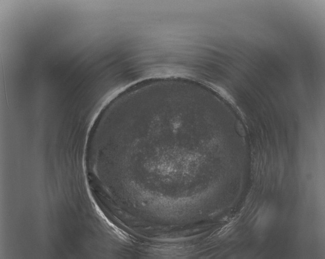 X0000061150943200511241827