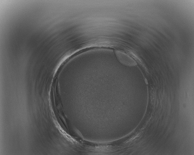 X0000061150944200511241827