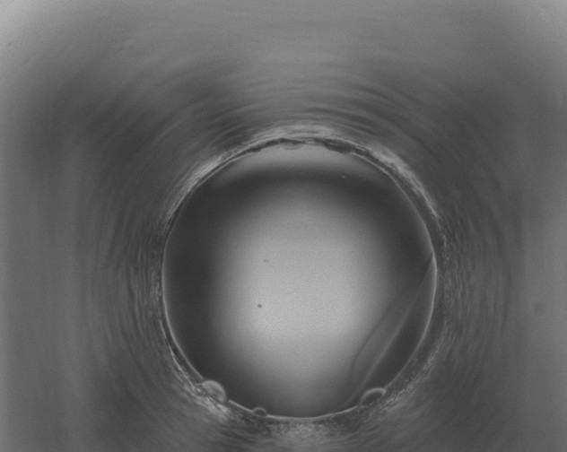 X0000061150945200511241827