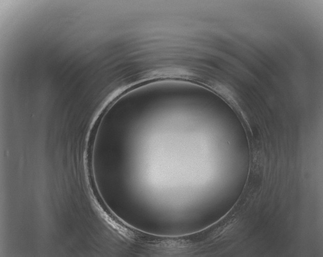 X0000061150947200511241827