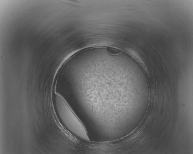 X0000061150948200511241827