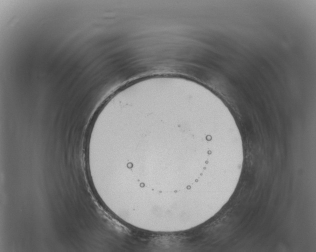 X0000061150950200511241827