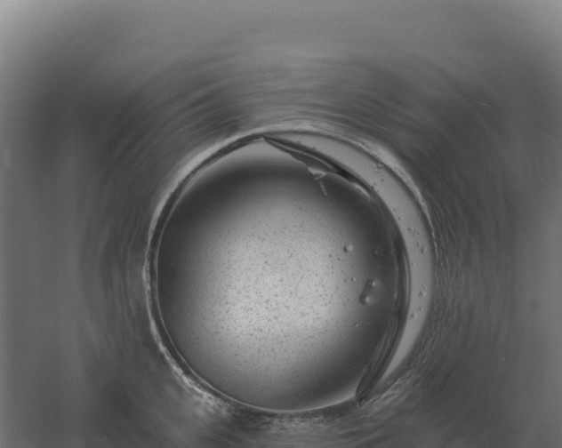 X0000061150951200511241827