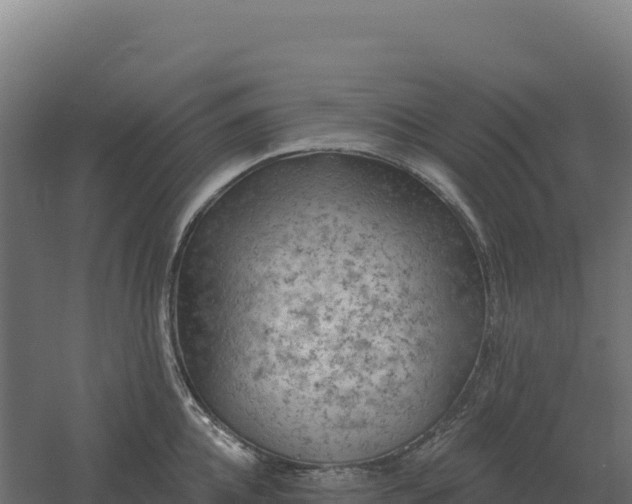 X0000061150952200511241827