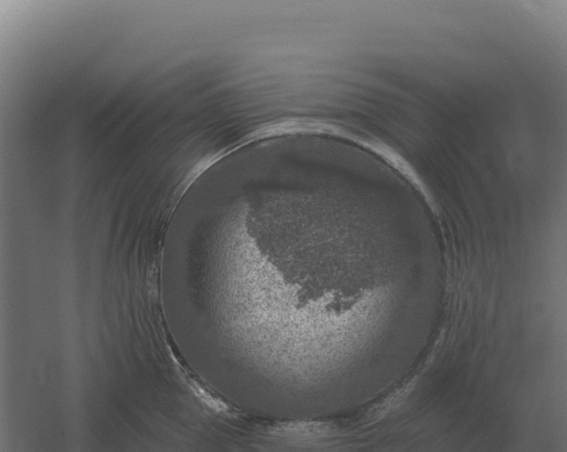 X0000061150953200511241827