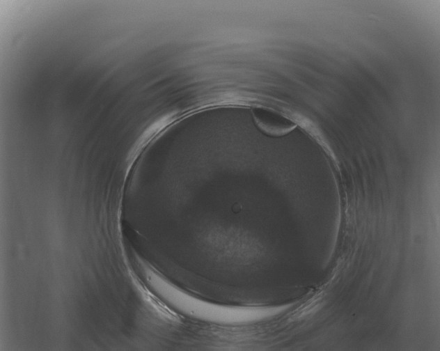 X0000061150954200511241827