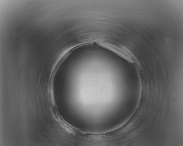 X0000061150956200511241827