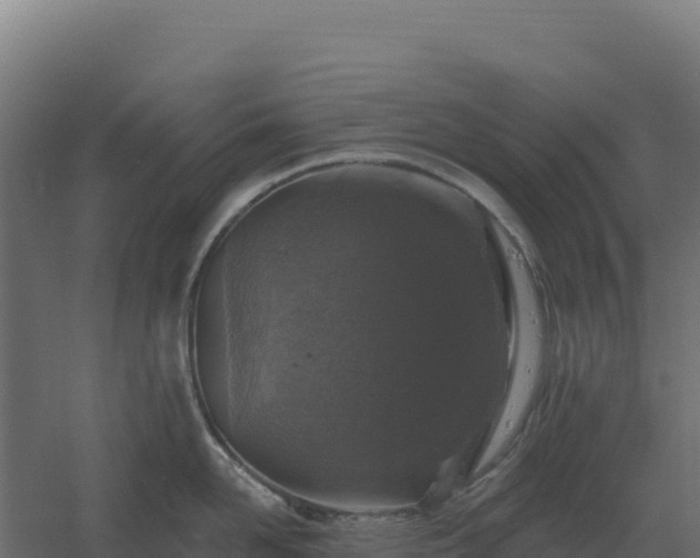 X0000061150958200511241827