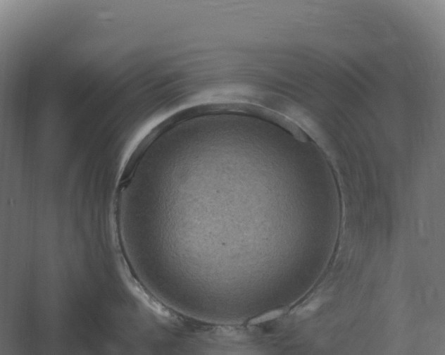 X0000061150960200511241827