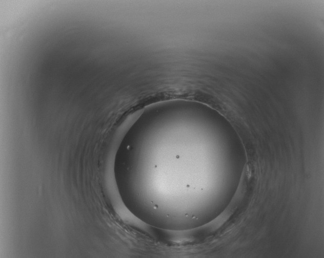 X0000061150961200511241826