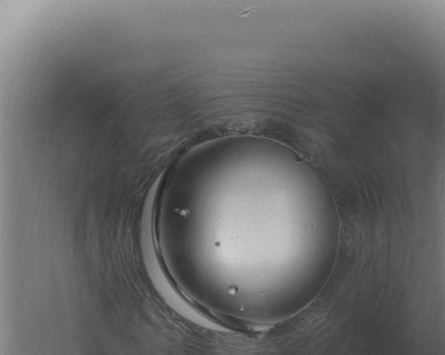 X0000061150962200511241826