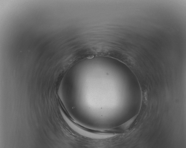 X0000061150963200511241826