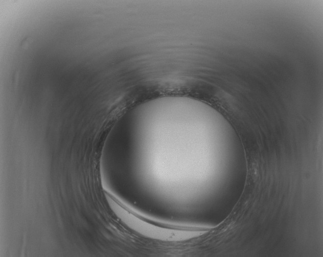 X0000061150964200511241826