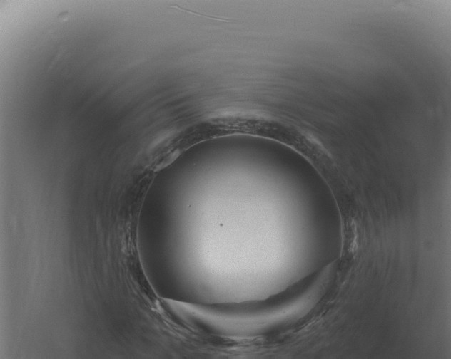 X0000061150965200511241826