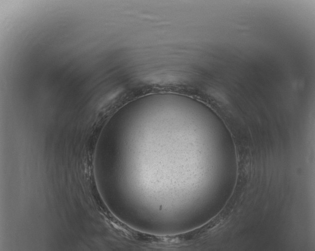 X0000061150966200511241826