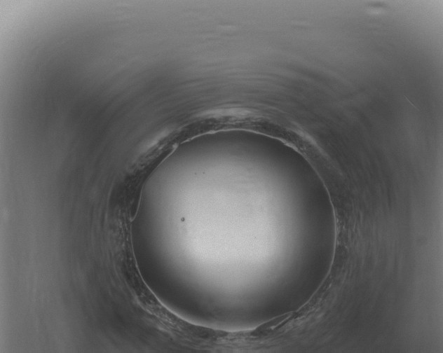 X0000061150967200511241826