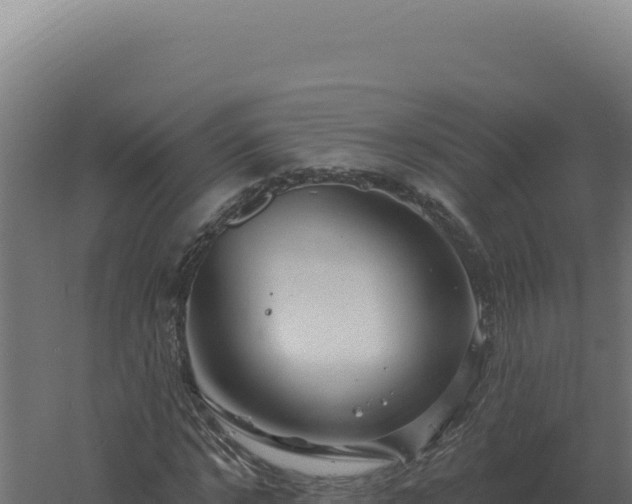 X0000061150968200511241826