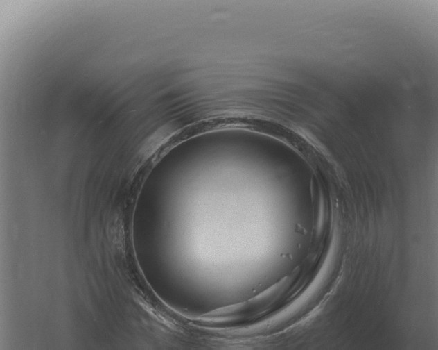 X0000061150969200511241826