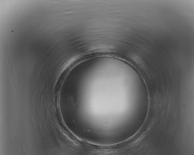 X0000061150970200511241826