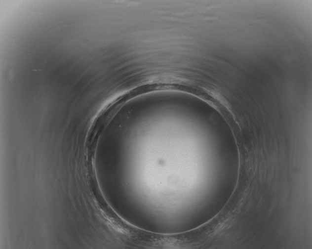 X0000061150971200511241826