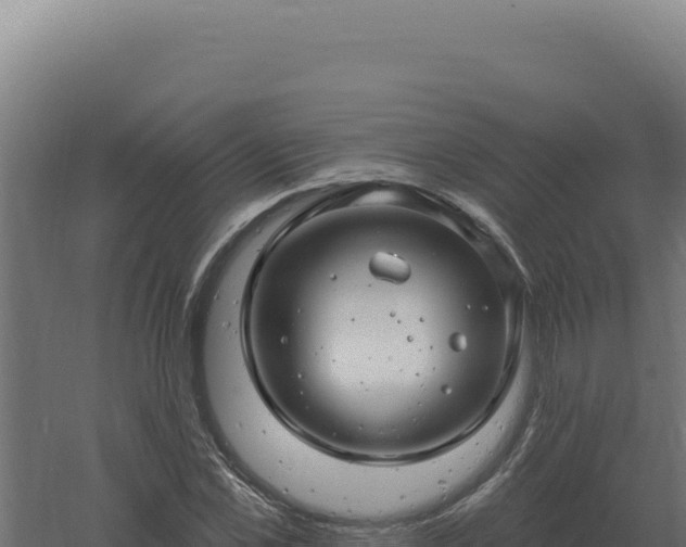 X0000061150973200511241826