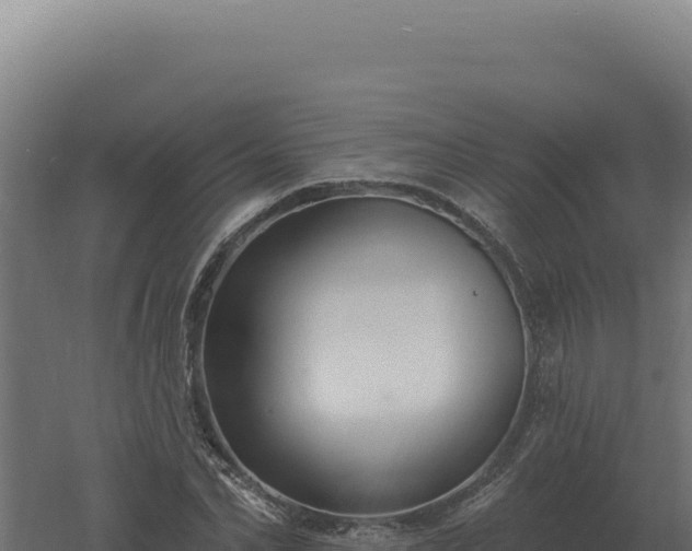 X0000061150974200511241826